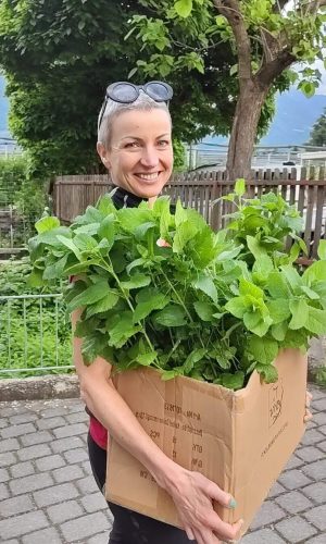 473649969_485566197900403_7599094314271745319_n